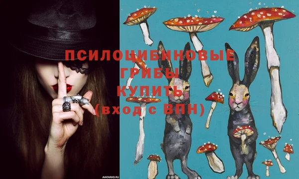 кристаллы Абаза
