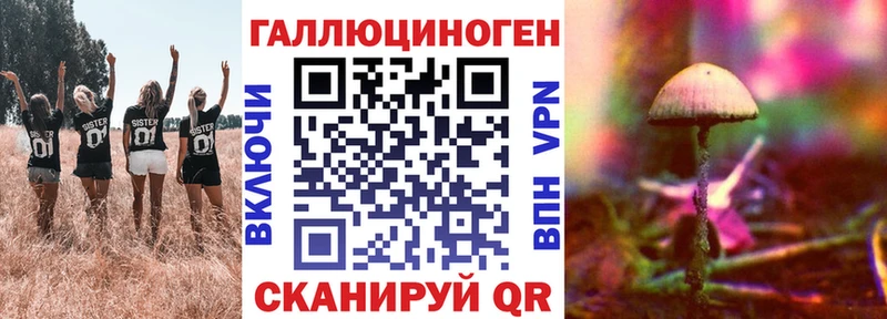 наркотики  Тутаев  Галлюциногенные грибы MAGIC MUSHROOMS 